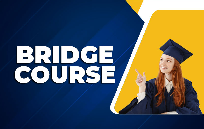 BRIDGE COURSE